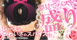 Пуш-ап топ для сна Ageha Japan Overnight Sleeping Bust Up Lace Bra