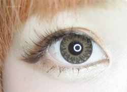Eyes Cream Vanilla Brown