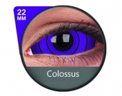 Violet Sclera lens Colossus