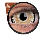 Mini Sclera Lens Orbitron